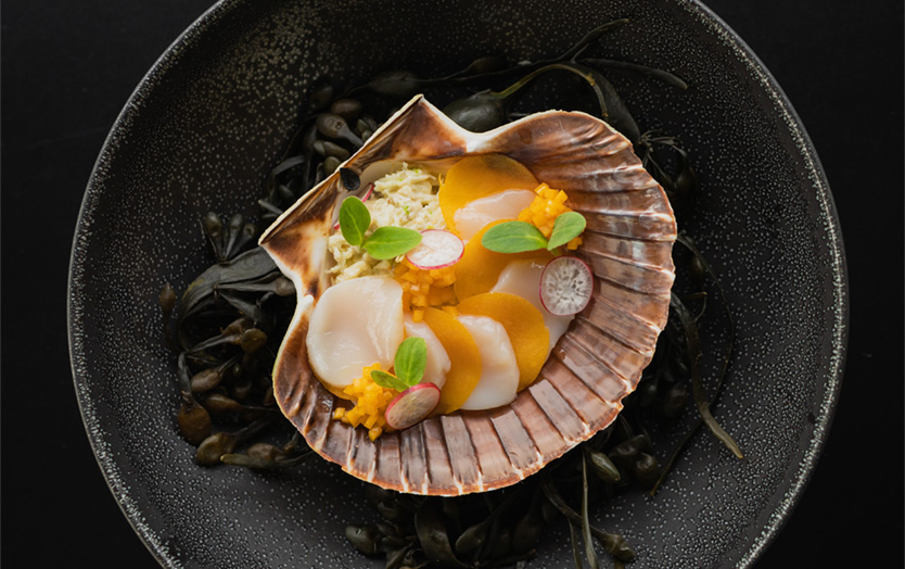 Esperienza di New York